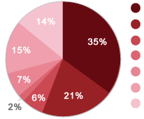 Attendee Demographics - SES New York Attendee Demographics - SES New York