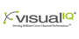 Visual IQ